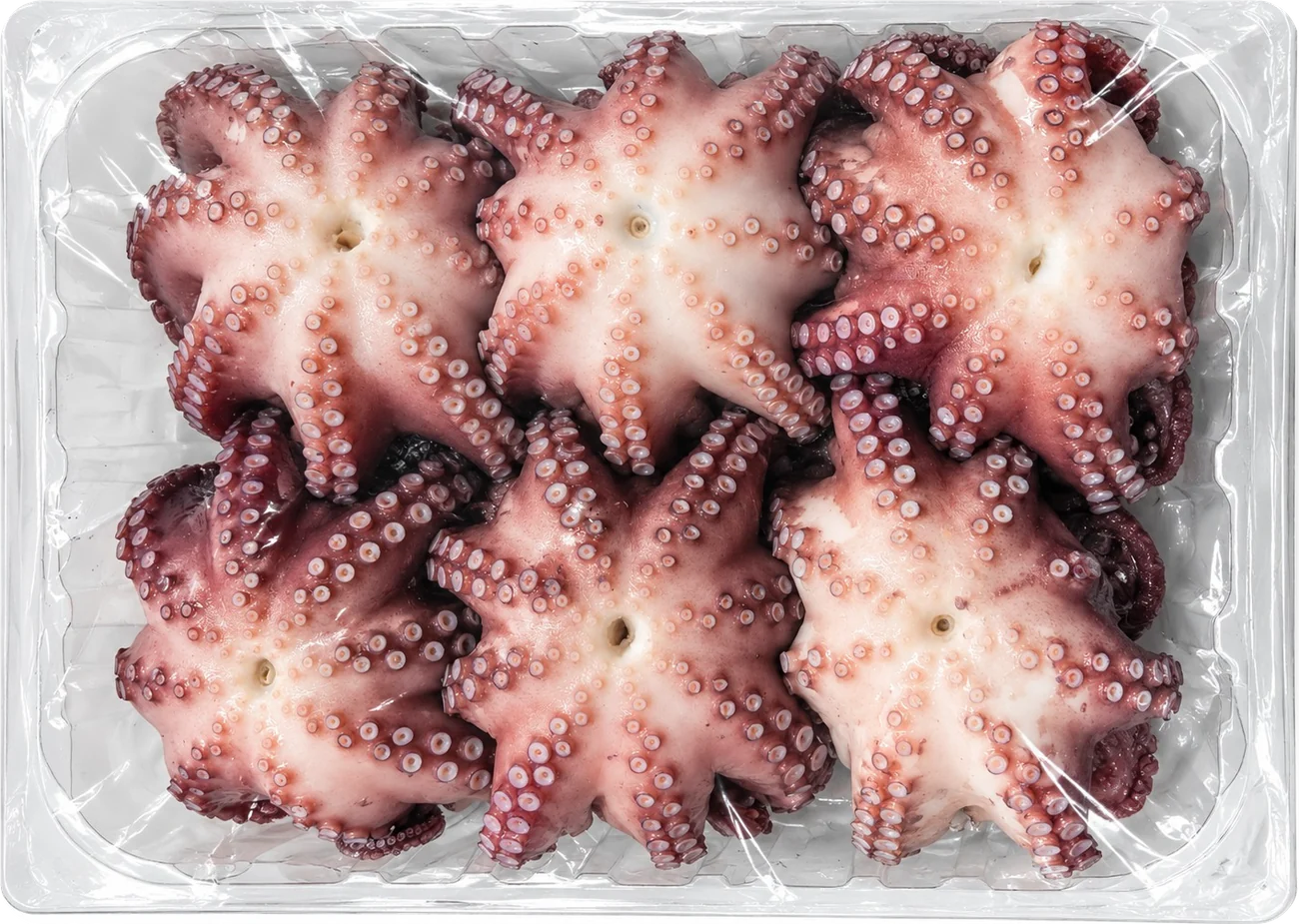 Charola de pulpo cocido de Todo Marisco