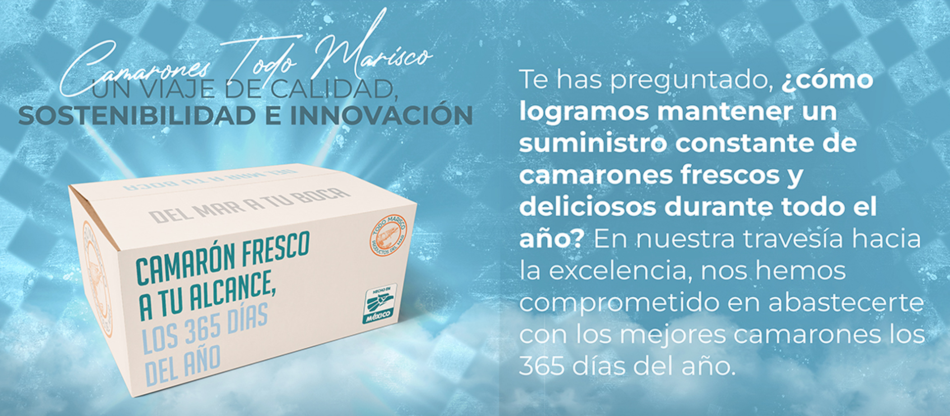 Camarones Todo Marisco, un viaje de calidad, sostenibilidad e innovación